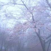 ヒメ日記 2026/04/11 06:32 投稿 天居　るり 川崎南町 素敵な奥様（川崎ハレ系）