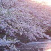 ヒメ日記 2026/04/12 17:09 投稿 天居　るり 川崎南町 素敵な奥様（川崎ハレ系）