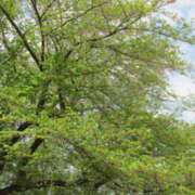 ヒメ日記 2026/04/13 12:29 投稿 天居　るり 川崎南町 素敵な奥様（川崎ハレ系）