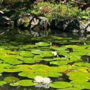 ヒメ日記 2026/04/18 11:08 投稿 天居　るり 川崎南町 素敵な奥様（川崎ハレ系）