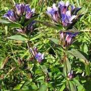 ヒメ日記 2026/04/20 09:50 投稿 天居　るり 川崎南町 素敵な奥様（川崎ハレ系）