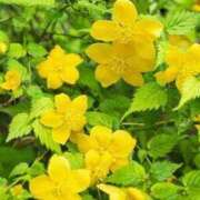 ヒメ日記 2026/04/21 22:18 投稿 天居　るり 川崎南町 素敵な奥様（川崎ハレ系）