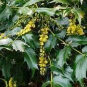 ヒメ日記 2026/04/24 01:10 投稿 天居　るり 川崎南町 素敵な奥様（川崎ハレ系）