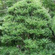 ヒメ日記 2026/04/27 00:50 投稿 天居　るり 川崎南町 素敵な奥様（川崎ハレ系）