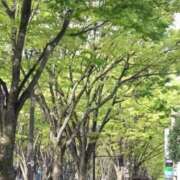天居　るり 欅 川崎南町 素敵な奥様（川崎ハレ系）