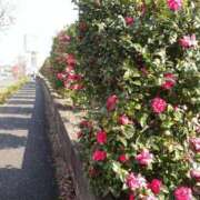 ヒメ日記 2026/09/10 13:37 投稿 天居　るり 川崎南町 素敵な奥様（川崎ハレ系）