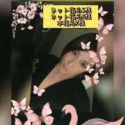 ヒメ日記 2025/10/06 17:00 投稿 吉岡あずさ TSUBAKI（水戸）