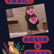 ヒメ日記 2026/02/06 15:30 投稿 吉岡あずさ TSUBAKI（水戸）