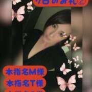 ヒメ日記 2026/02/10 20:00 投稿 吉岡あずさ TSUBAKI（水戸）