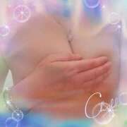 ヒメ日記 2025/12/04 07:01 投稿 由香利(ゆかり) 松戸角海老根本店