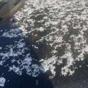 ヒメ日記 2026/01/22 08:56 投稿 由香利(ゆかり) 松戸角海老根本店