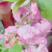 ヒメ日記 2026/04/10 07:11 投稿 由香利(ゆかり) 松戸角海老根本店