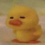 ヒメ日記 2025/09/28 12:51 投稿 りさ 松戸角海老根本店