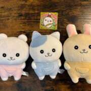 ヒメ日記 2025/08/21 09:47 投稿 ゆきな 松戸角海老根本店