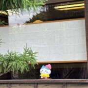 ヒメ日記 2025/11/01 09:51 投稿 ゆきな 松戸角海老根本店