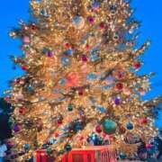 ヒメ日記 2025/12/25 08:41 投稿 ゆきな 松戸角海老根本店