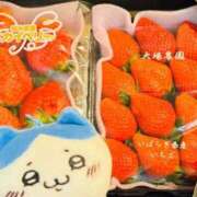 ヒメ日記 2026/02/05 08:41 投稿 ゆきな 松戸角海老根本店