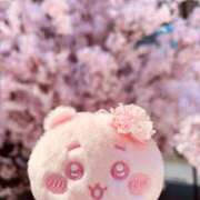 ヒメ日記 2026/03/29 08:31 投稿 ゆきな 松戸角海老根本店