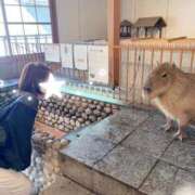 ヒメ日記 2026/06/26 10:02 投稿 かおり 松戸角海老根本店