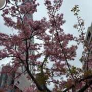 ヒメ日記 2026/03/10 18:31 投稿 まや 松戸角海老根本店