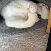 ヒメ日記 2025/08/02 20:23 投稿 百合(ゆり) 松戸角海老根本店