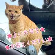 ヒメ日記 2025/12/31 17:11 投稿 麻衣(まい) 松戸角海老根本店