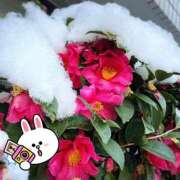 ヒメ日記 2026/02/09 17:21 投稿 麻衣(まい) 松戸角海老根本店