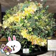 ヒメ日記 2026/05/20 17:21 投稿 麻衣(まい) 松戸角海老根本店