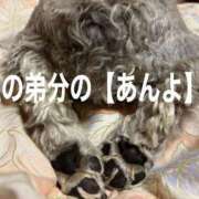 ヒメ日記 2025/04/27 20:51 投稿 千鶴(ちづる) 松戸角海老根本店