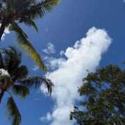 ヒメ日記 2025/12/30 01:11 投稿 千鶴(ちづる) 松戸角海老根本店