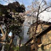 ヒメ日記 2026/03/30 08:21 投稿 千鶴(ちづる) 松戸角海老根本店