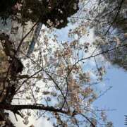 ヒメ日記 2026/03/31 16:01 投稿 千鶴(ちづる) 松戸角海老根本店