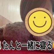 ヒメ日記 2026/08/14 07:11 投稿 千鶴(ちづる) 松戸角海老根本店