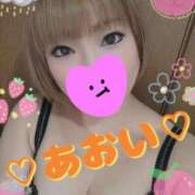 ヒメ日記 2025/10/30 09:02 投稿 葵（あおい） 松戸角海老根本店