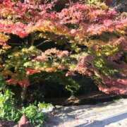 あやな どうも、生きてます。 松戸角海老根本店