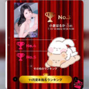 ヒメ日記 2025/12/01 13:53 投稿 小倉はるか 横浜ハッピーマットパラダイス