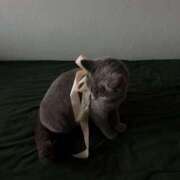 ヒメ日記 2025/09/14 14:26 投稿 れいな 静岡♂風俗の神様 静岡店