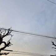 ヒメ日記 2025/01/19 07:14 投稿 田崎みほ(たさきみほ) 五十路マダムエクスプレス厚木店(カサブランカグループ)