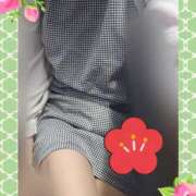 ヒメ日記 2025/02/06 06:50 投稿 田崎みほ(たさきみほ) 五十路マダムエクスプレス厚木店(カサブランカグループ)