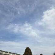 ヒメ日記 2025/03/08 10:06 投稿 田崎みほ(たさきみほ) 五十路マダムエクスプレス厚木店(カサブランカグループ)