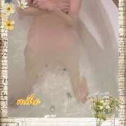 ヒメ日記 2025/03/18 18:50 投稿 田崎みほ(たさきみほ) 五十路マダムエクスプレス厚木店(カサブランカグループ)