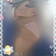 ヒメ日記 2025/04/01 06:50 投稿 田崎みほ(たさきみほ) 五十路マダムエクスプレス厚木店(カサブランカグループ)