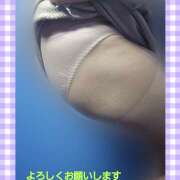 ヒメ日記 2025/04/26 09:50 投稿 田崎みほ(たさきみほ) 五十路マダムエクスプレス厚木店(カサブランカグループ)