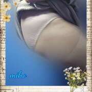 ヒメ日記 2025/05/08 17:56 投稿 田崎みほ(たさきみほ) 五十路マダムエクスプレス厚木店(カサブランカグループ)