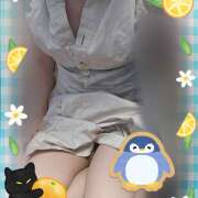 ヒメ日記 2025/08/03 06:52 投稿 田崎みほ(たさきみほ) 五十路マダムエクスプレス厚木店(カサブランカグループ)