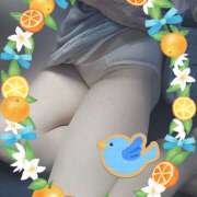 ヒメ日記 2025/10/05 06:50 投稿 田崎みほ(たさきみほ) 五十路マダムエクスプレス厚木店(カサブランカグループ)