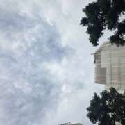 ヒメ日記 2025/10/13 09:40 投稿 田崎みほ(たさきみほ) 五十路マダムエクスプレス厚木店(カサブランカグループ)