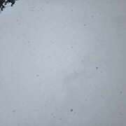 ヒメ日記 2026/01/20 10:06 投稿 田崎みほ(たさきみほ) 五十路マダムエクスプレス厚木店(カサブランカグループ)