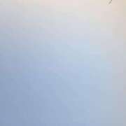 ヒメ日記 2026/03/29 12:40 投稿 田崎みほ(たさきみほ) 五十路マダムエクスプレス厚木店(カサブランカグループ)