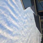 田崎みほ(たさきみほ) 朝は 五十路マダムエクスプレス厚木店(カサブランカグループ)